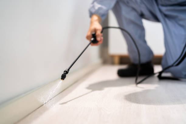 Bed Bug Pre-Treatment Preparation Assessment in Harlowton