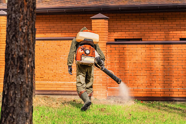 Bed Bug Clearance Verification and Documentation in Harlowton